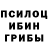 Псилоцибиновые грибы MAGIC MUSHROOMS Julik Rein