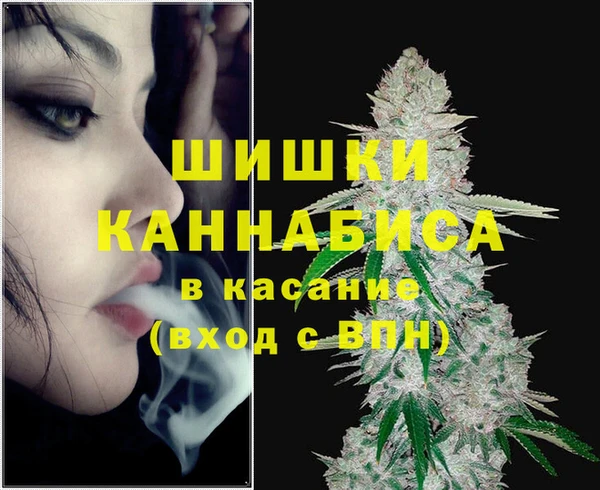 бошки Вязьма